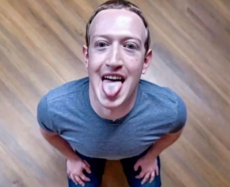 Mark Zuckerberg meme
